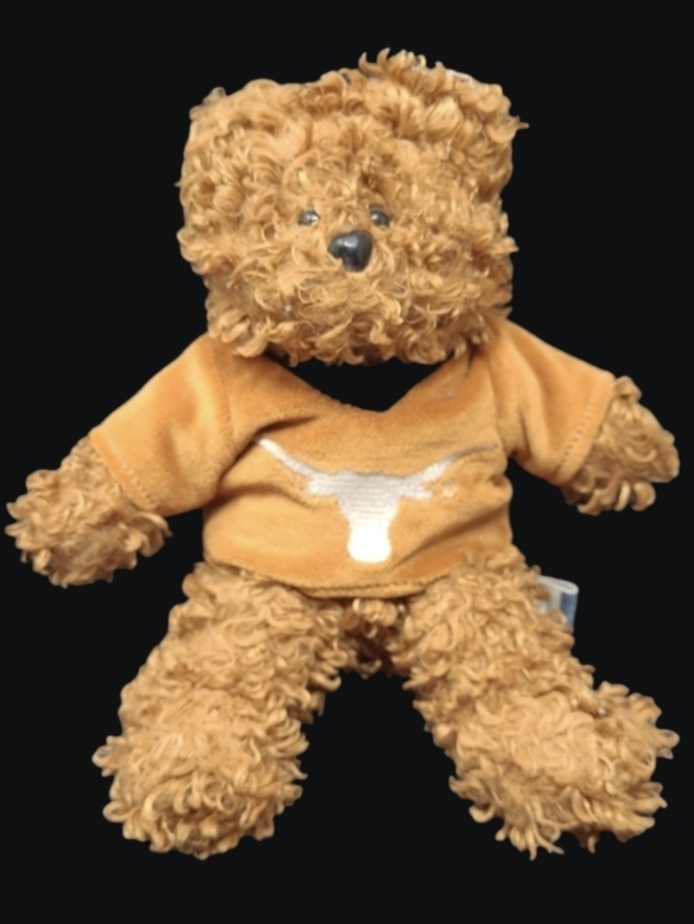 9" FOREVER COLLECTIBLES "TEXAS LONGHORNS" BEAR